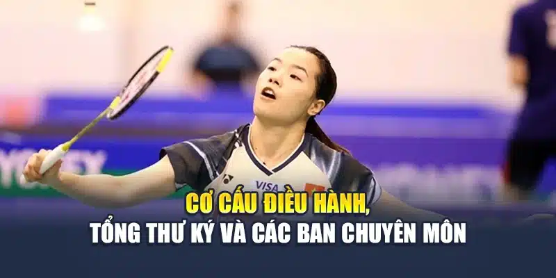 Cơ cấu điều hành, tổng thư ký và các ban chuyên môn