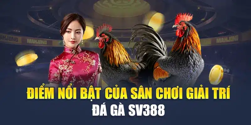 Điểm nổi bật của sân chơi giải trí đá gà SV388 