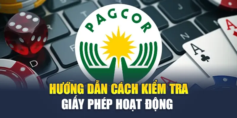 Hướng dẫn kiểm tra giấy phép hoạt động M88