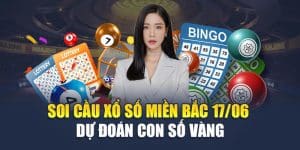 Soi Cầu Xổ Số Miền Bắc 17/06 - Dự Đoán Con Số Vàng